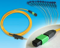 MPO Ribbon Patch Cord