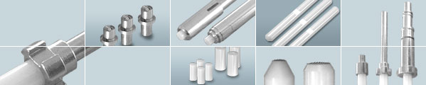 Ferrule