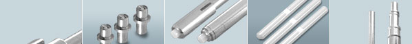 Ferrule